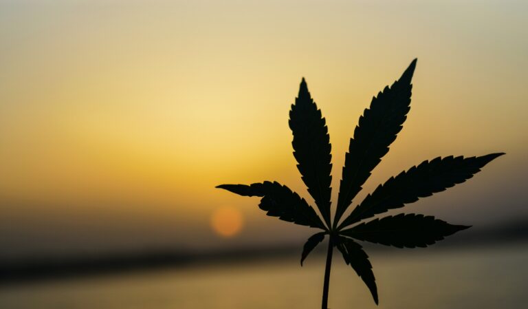 marijuanna